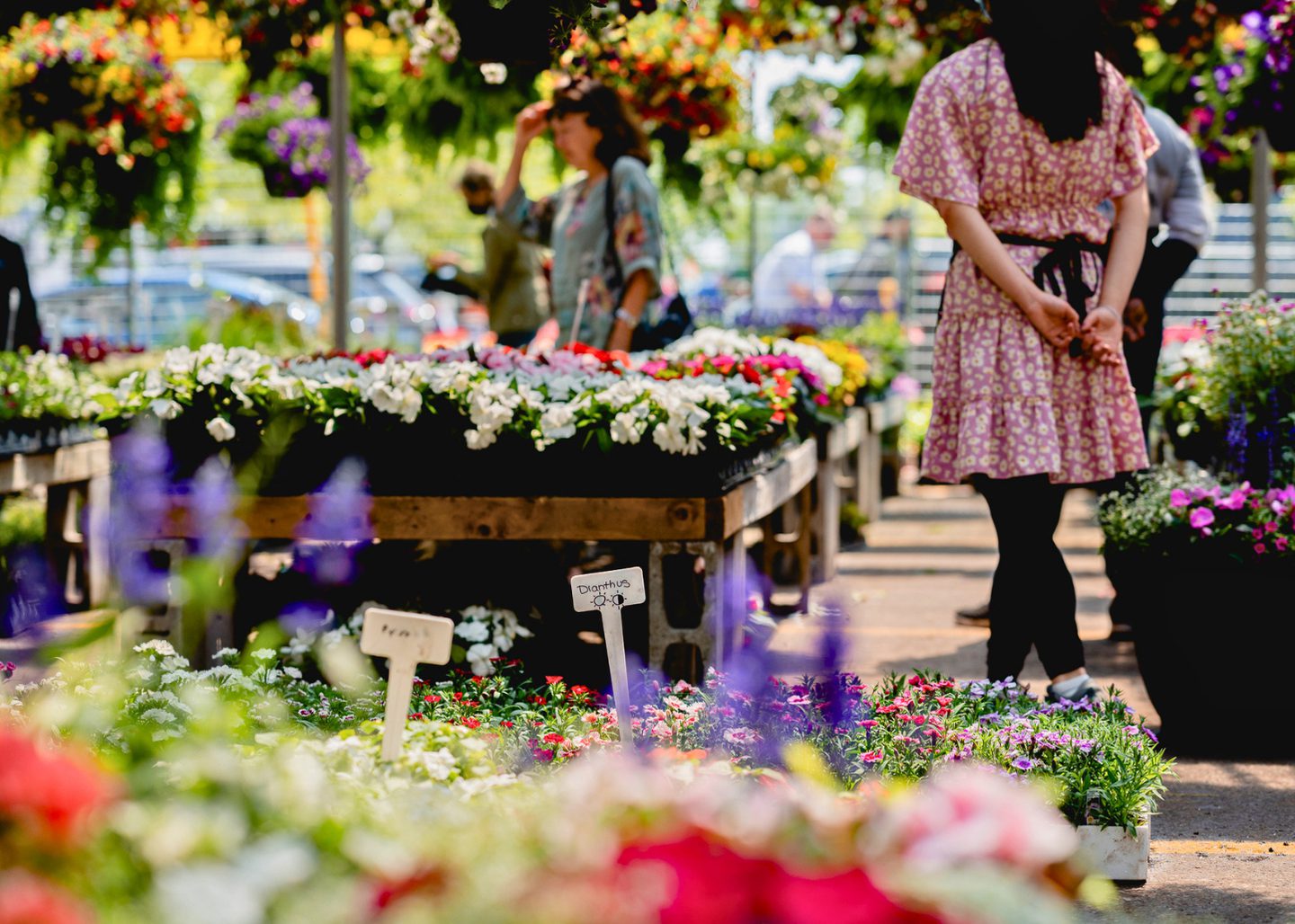Étals fleuris du Marché Maisonneuve, dans Hochelaga-Maisonneuve