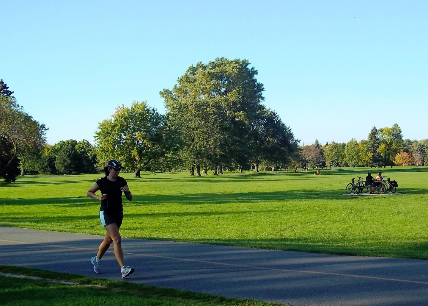 Parc Maisonneuve, sentiers et grands espaces verts